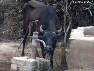 t0130fbe3aaea3fb867.gif